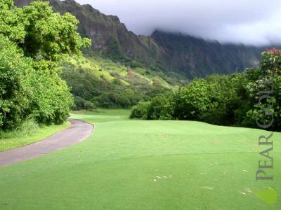 Golf 綠色的天地